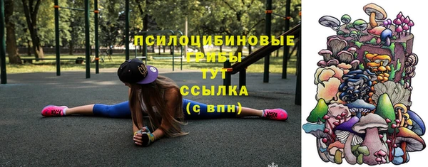 амф Абинск