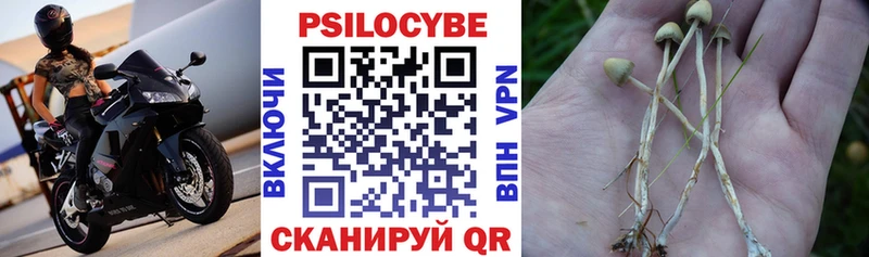 маркетплейс клад  Хадыженск  Галлюциногенные грибы прущие грибы  где купить наркоту 